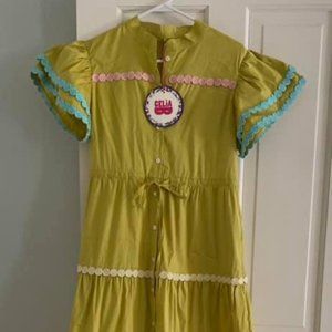 Celia Lime Green Button-Front Maxi Dress